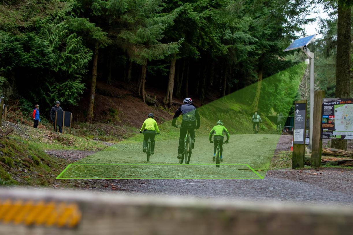 bike counting on forest trail