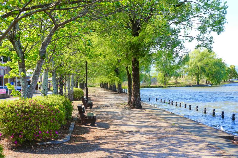 Visitor Counting Without Electricity or Internet. Practical SensMax Solutions.