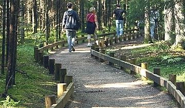 Outdoor | People counting in parks