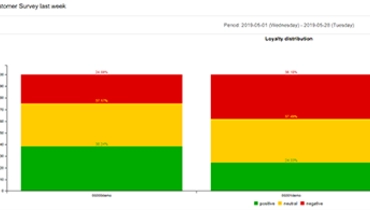 Customer loyalty distribution report (NPS)